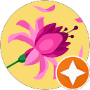 Kusumastuti profile picture